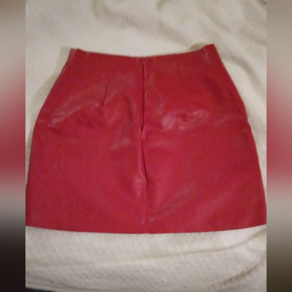 Mini Skirt - Picture 3 of 9